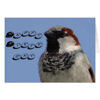 Birthday card cute little bird