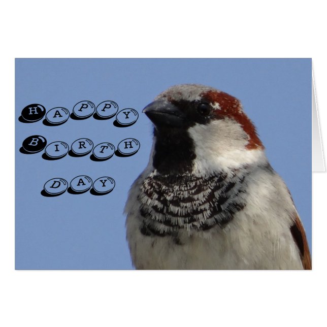 Birthday card cute little bird (Front Horizontal)