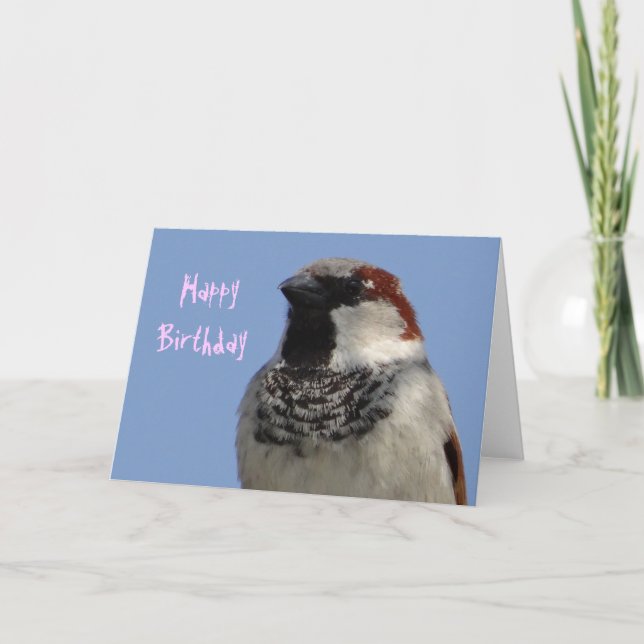 Birthday card cute little bird (Front)