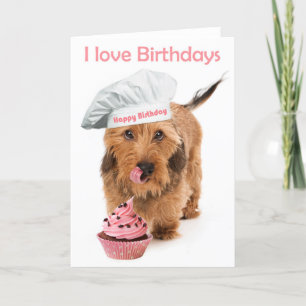 Birthday card Dachshund dog with toque