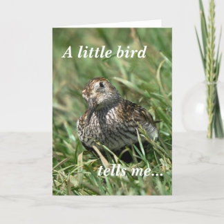 Birthday Card: Dunlin Card