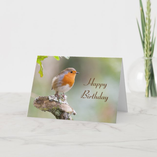 Birthday card European robin Erithacus rubecula (Front)