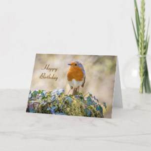 Birthday card european robin Erithacus rubecula