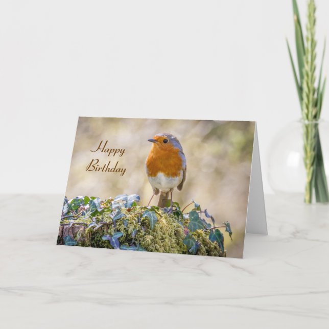 Birthday card european robin Erithacus rubecula (Front)