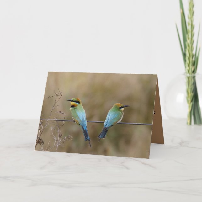 Birthday card featuring Bee eaters (birds) (Front)