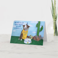 Birthday card for anyone