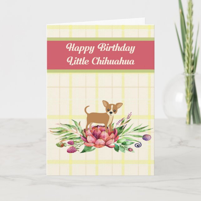 Birthday Card for Chihuahua Dog (Front)