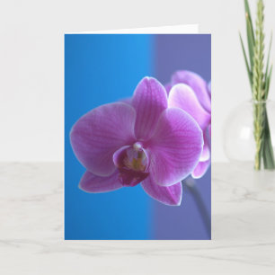 Birthday Card for Daughter -- Orchid