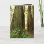 Birthday card for husband<br><div class="desc">The beauty and indescribable size of the Redwoods makes every trip into them feel like a storybook or fantasy movie. Trying to capture just one aspect of their grandeur, I hope you can see what we see. Enjoy! You can find more birds and more of nature at our Eyes4Nature Zazzle...</div>