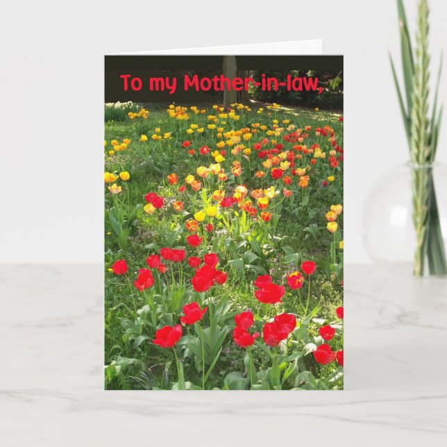 Birthday Card for Mother-in-law - 'Tulips' (Front)