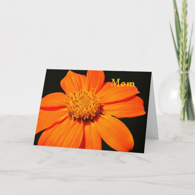 Birthday Card for Mum, Big Orange Flower (Front)