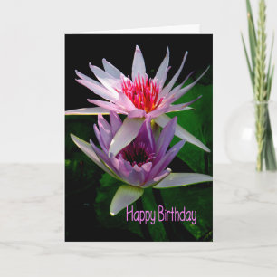 Birthday Card for Sister, Water Lilies
