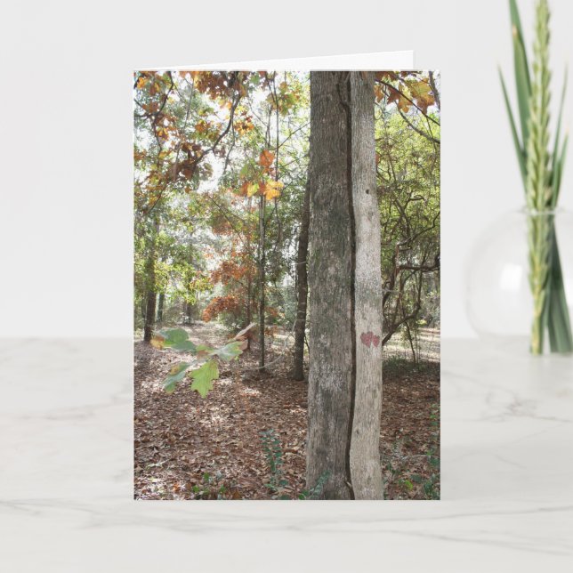 Birthday card for that special Son (Front)