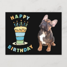 Birthday card French Bulldog postcard