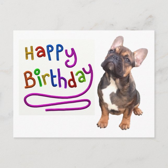 Birthday card French Bulldog postcard (Front)
