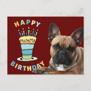 birthday card French Bulldog postcard