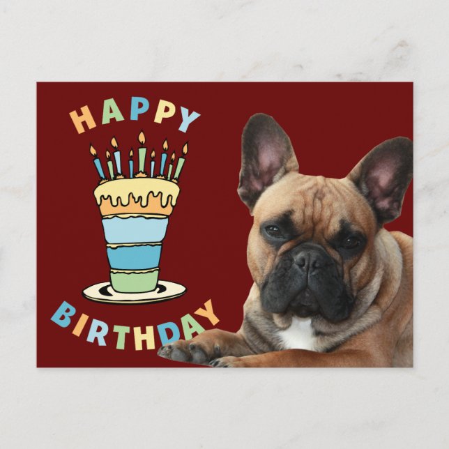 Birthday card French Bulldog postcard (Front)