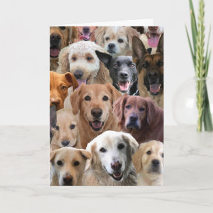 Birthday Card from a Group