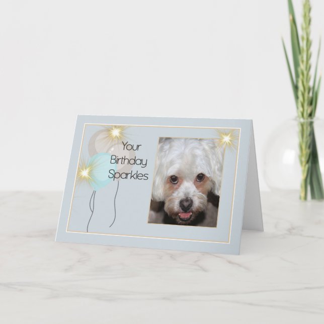 Birthday Card from Pet Lhasa Apso Dog (Front)