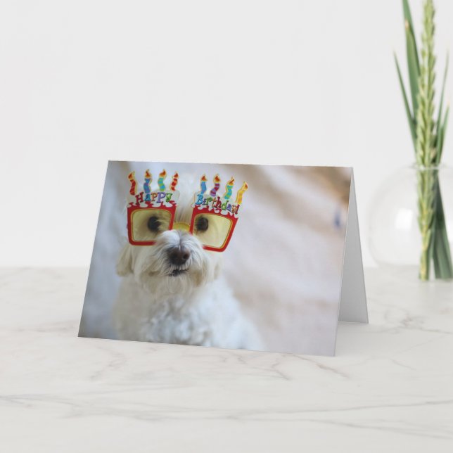 Birthday Card - Funny Dog Wearing Birthday Glasses (Front)