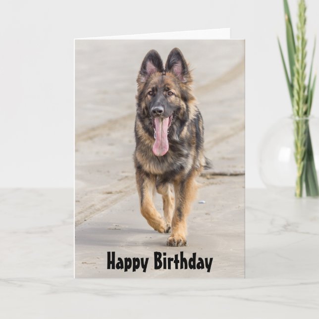 Birthday Card German Shepherd Dog Alsatian (Front)