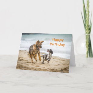 Birthday Card German Shepherd Dog Cockerspaniel