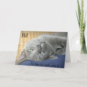 Birthday Card: Gray Cat wishes a Happy Birthday! Card