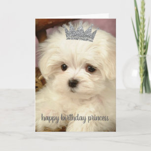 Birthday Card - Happy Birthday Princess