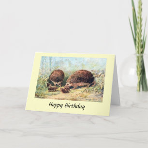 Birthday Card - Hedgehogs