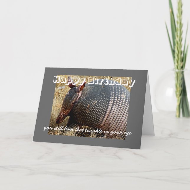 birthday card humour armadillo photo art (Front)