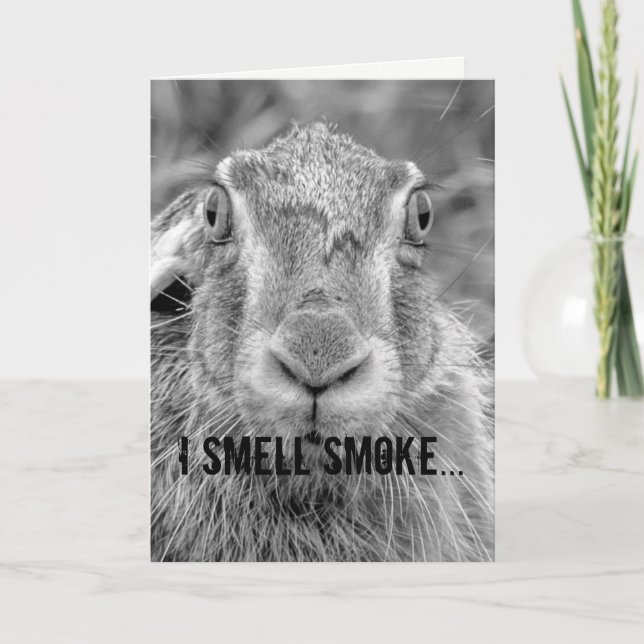 birthday card humour bunny black and white photo (Front)