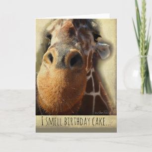 birthday card humour giraffe nose