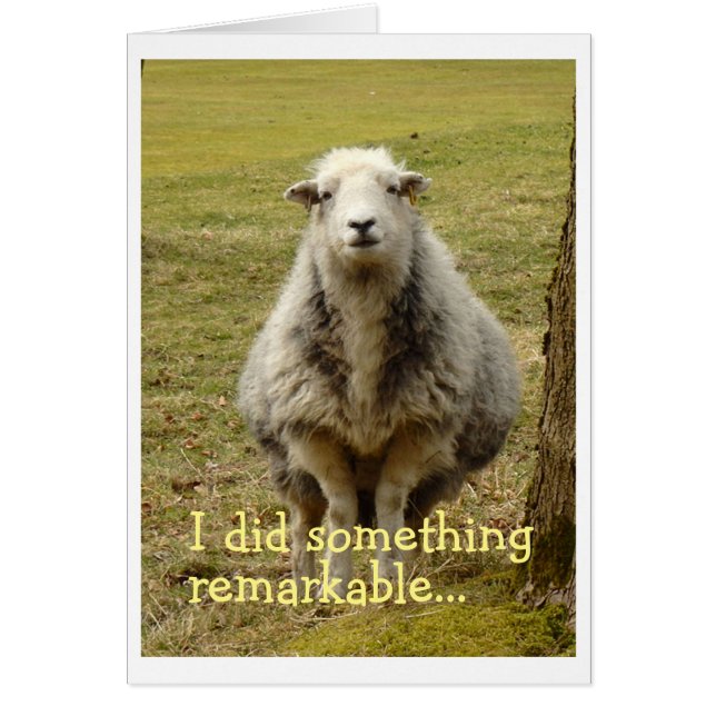 Birthday Card I reparceled (Front)