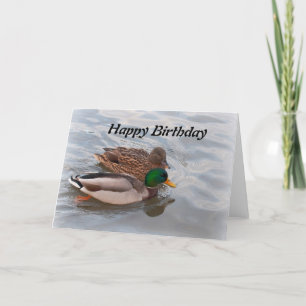 Birthday Card: Mallard Ducks Card