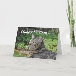 Birthday Card: Minnie the Cat Card