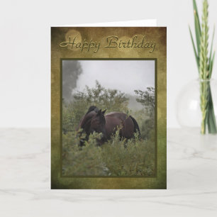 Birthday Card "Misty Black Horse"