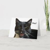 Birthday Card: Or Else Cat