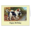Birthday Card - Otter Hounds