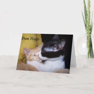 Birthday Card: Sweet Kittens give free Hugs! Card