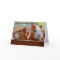Birthday Card: Two Guinea Pigs