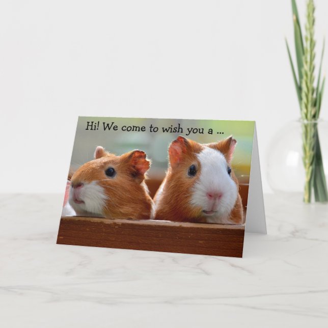 Birthday Card: Two Guinea Pigs Card (Front)