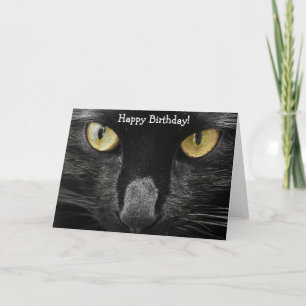 Birthday Card: What a Cat! What a Look! Card