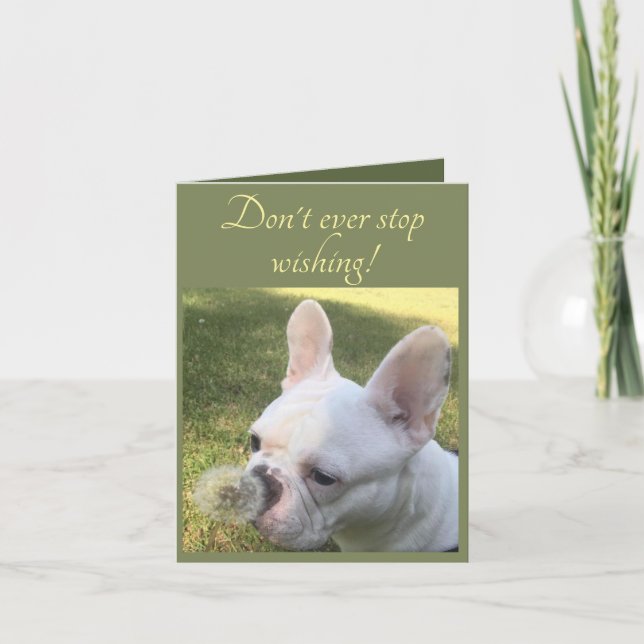Birthday Card Wishing French Bulldog dandelion (Front)