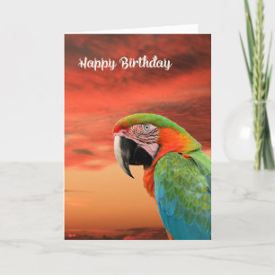 Birthday Card with Colourful Parrot & Sunset