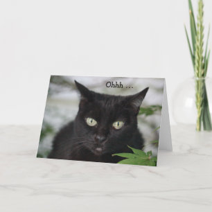 Birthday Card with cute black cat
