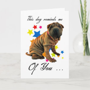 birthday card with cute shar pei - humourous card