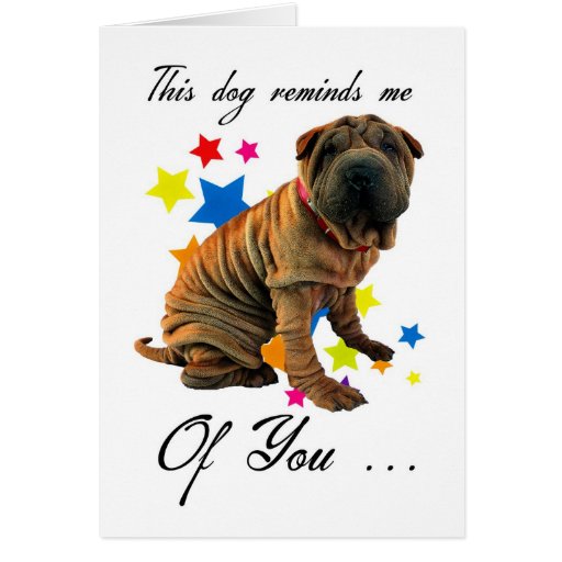 birthday card with cute shar pei - humourous card | Zazzle