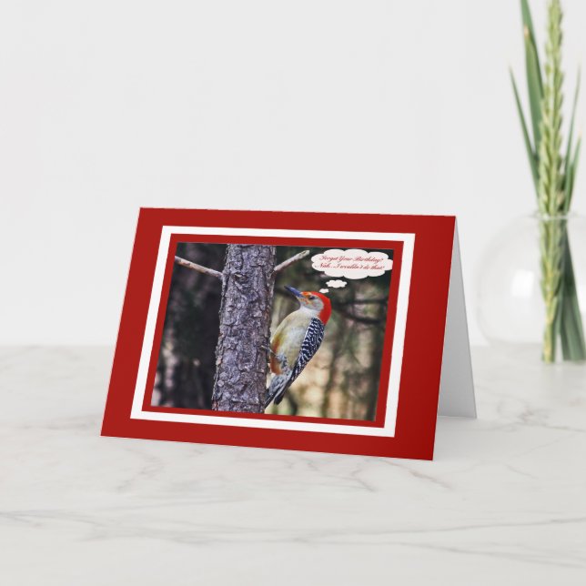 Birthday Card With Funny Red Bellied Woodpecker (Front)