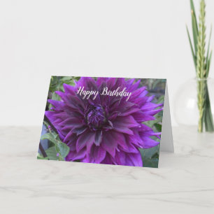 Birthday card with purple dahlia