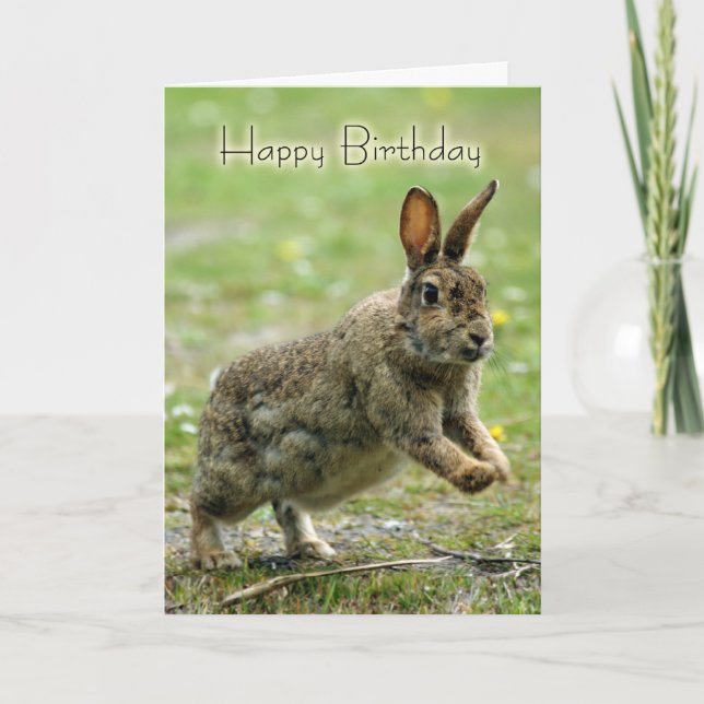 Birthday Card With Wild Rabbit (Front)